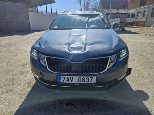Škoda Octavia 2.0 TDI 110kw DSG Style 2019 - Image 7